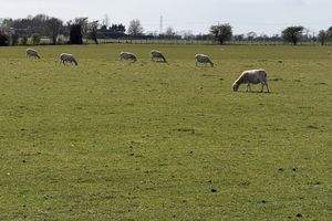 Photo 20- click for photo gallery